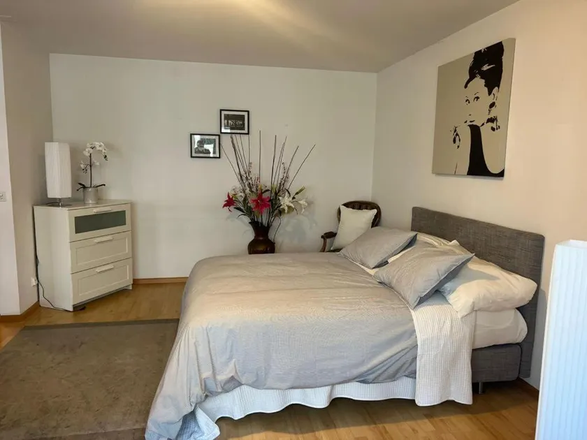 Basel Schweiz Apartment_303 - Image 1