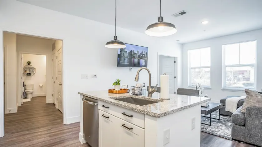 Swanky Atlanta Apartment - Image 1
