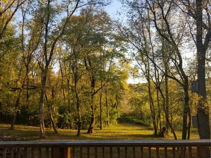 Deer Lake Serenity - Image 1