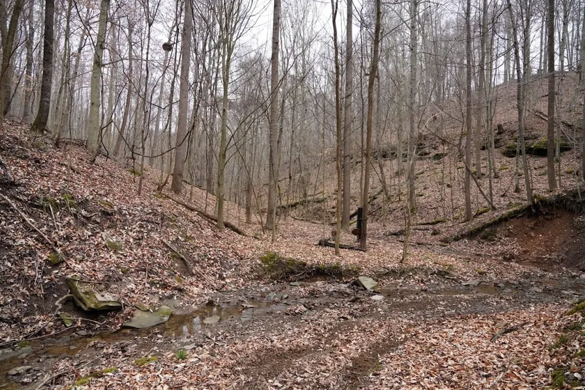 Honey Hole - Image 1