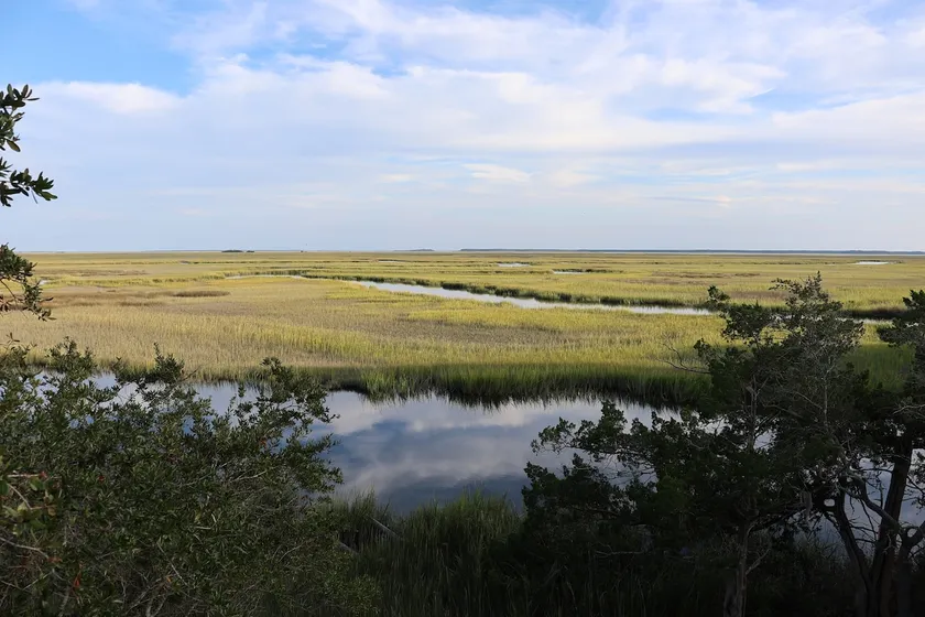 Peaceful Coastal Marsh House - Image 1