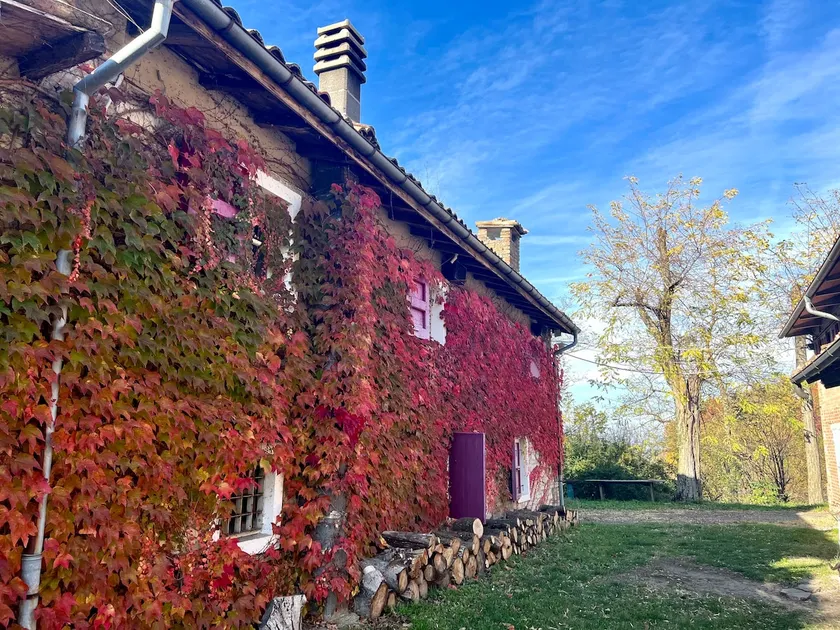 Apartment in nature 24 km from Parma - Image 1