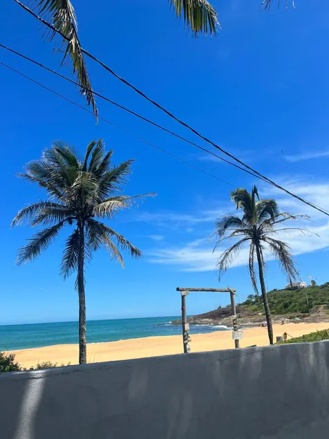 Ponta da fruta - Image 1
