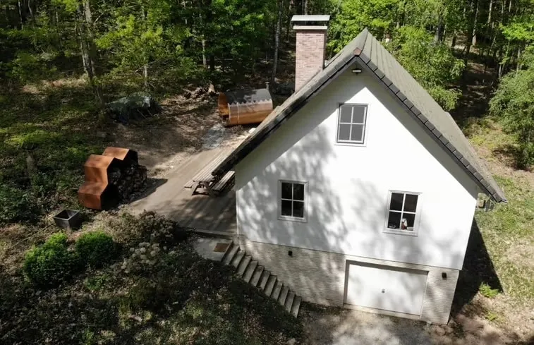 Single large house with sauna in the forest - Image 1