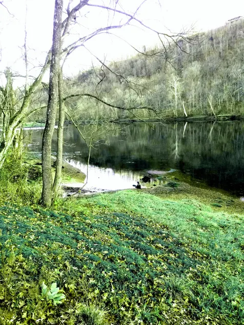 White River Resort #3 - Image 1