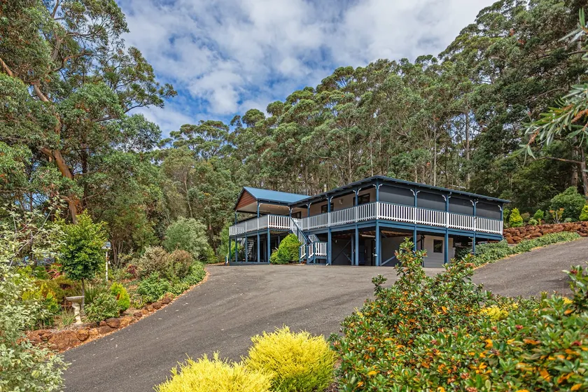 Denmark Oceanview Family Retreat Amongst the Trees - Image 1