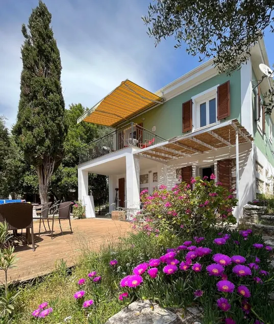 The House in the Trees - Image 1