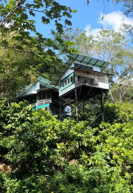 The Emerald Haven - Image 1