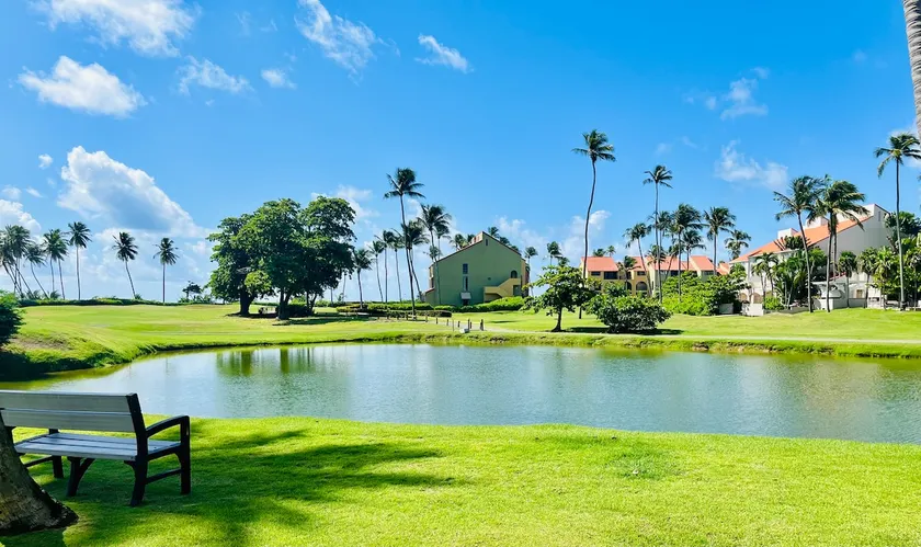 1 BR Beach Apartment, Palmas del Mar (Palm Beach) - Image 1