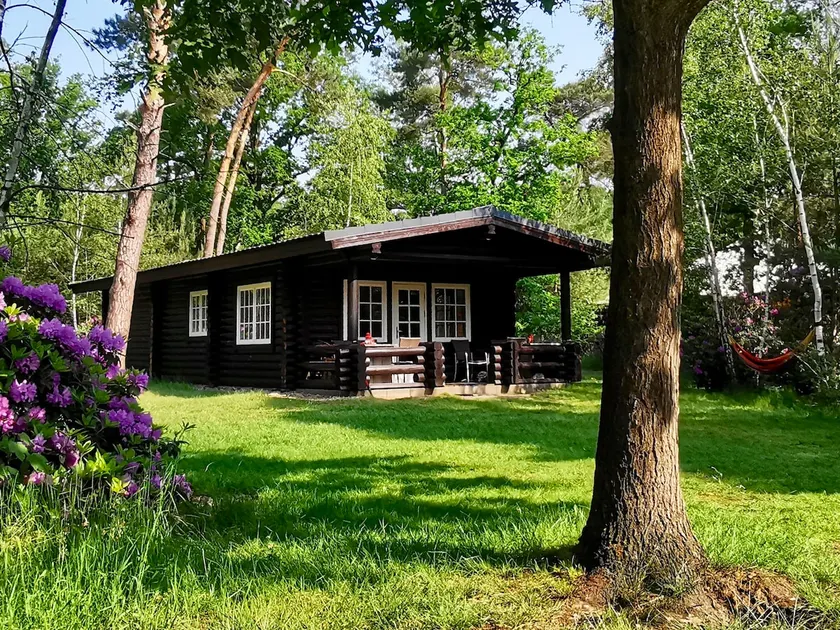 Forest Cabin in the woods - Image 1