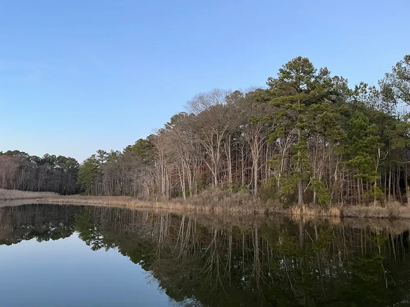 ”Serenity”-St. Patrick's Creek w/ private pier - Image 1