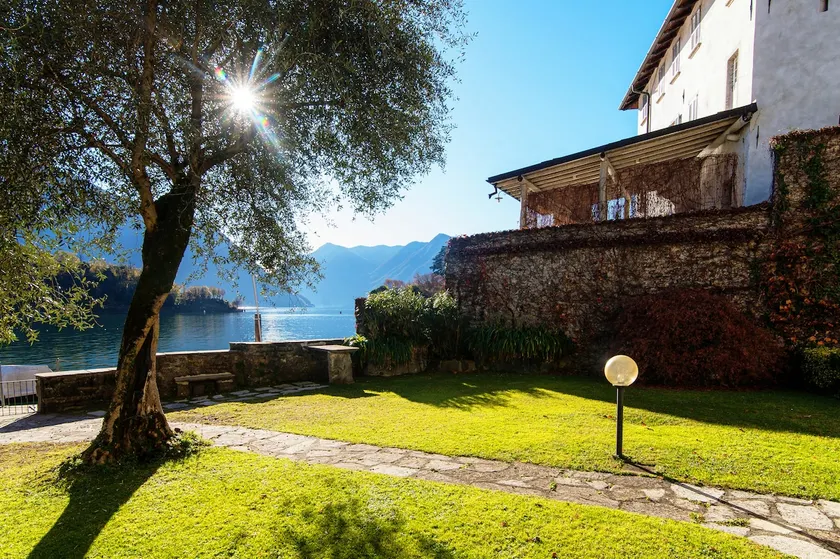 Olea Garden - Image 1