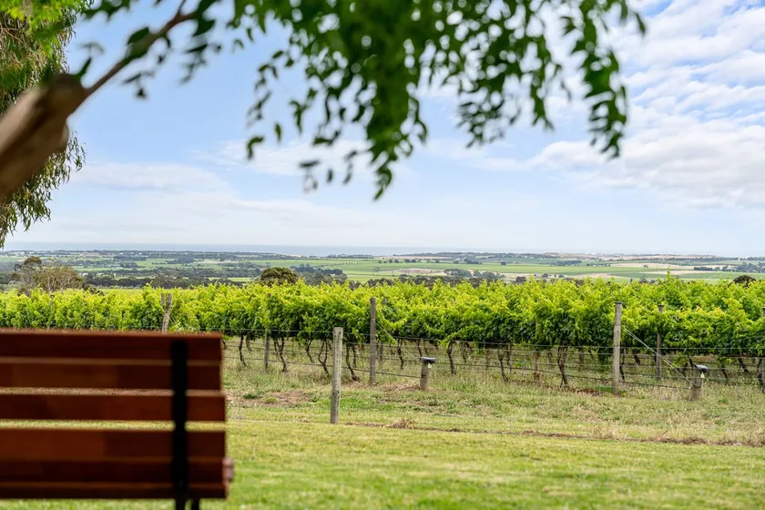 Willunga House - A Scenic Wine Region Stay - Image 1