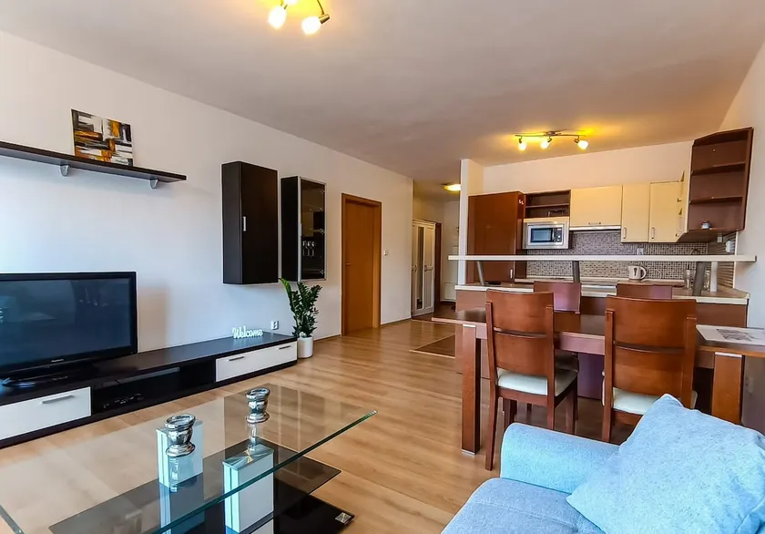 Modern flat, balcony, garage - Image 1