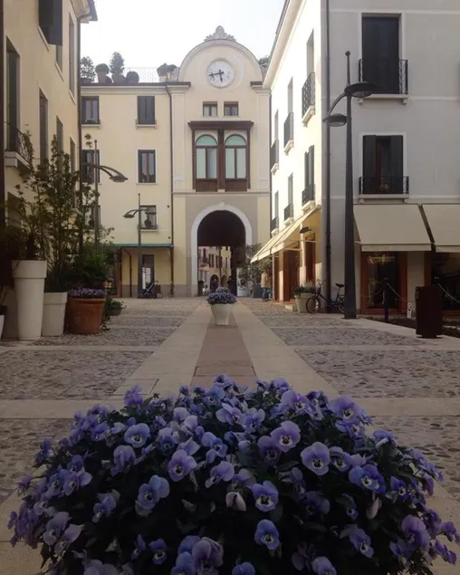 SUITE LATIN SANO LEONARDO - Image 1