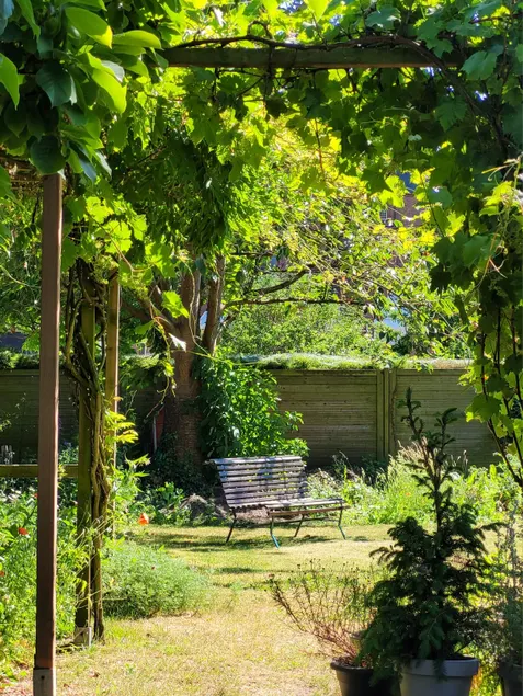 The City Garden - Image 1