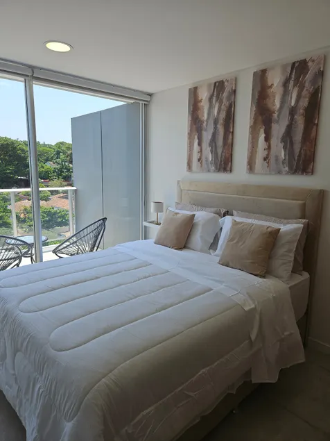 Beautiful Loft Asuncion - Image 1