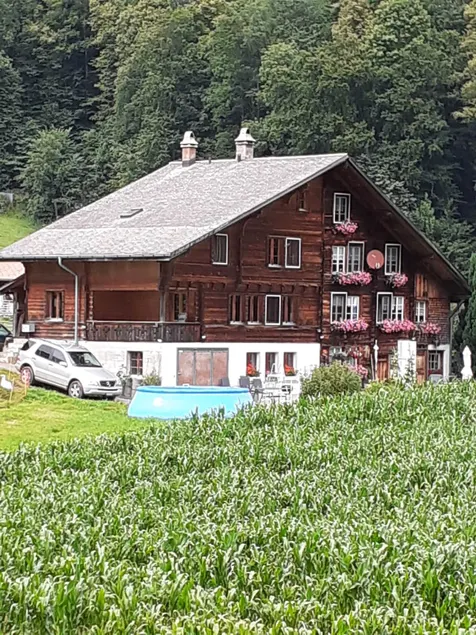 Living in the middle of nature - Image 1