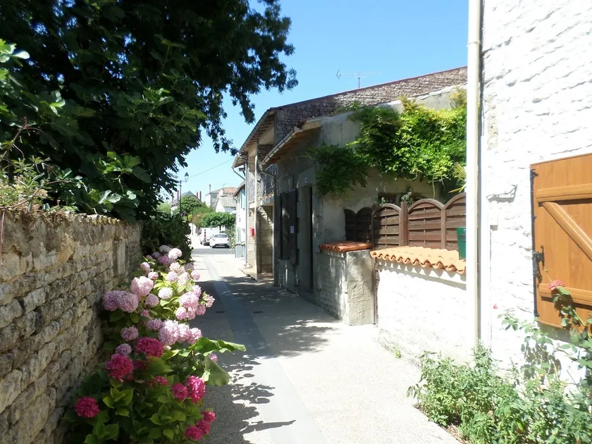 La Libellule - Image 1
