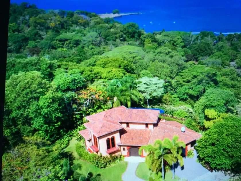Ocean, Jungle & Mountain Views! - Image 1
