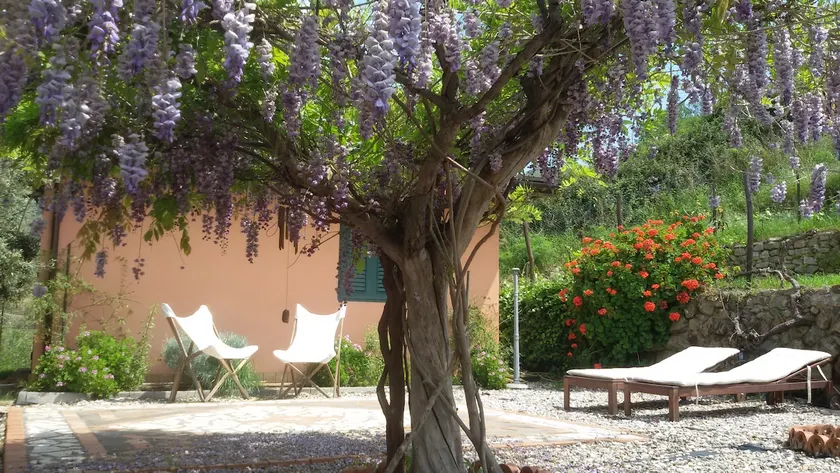 House with garden overlooking Mount Etna - Image 1