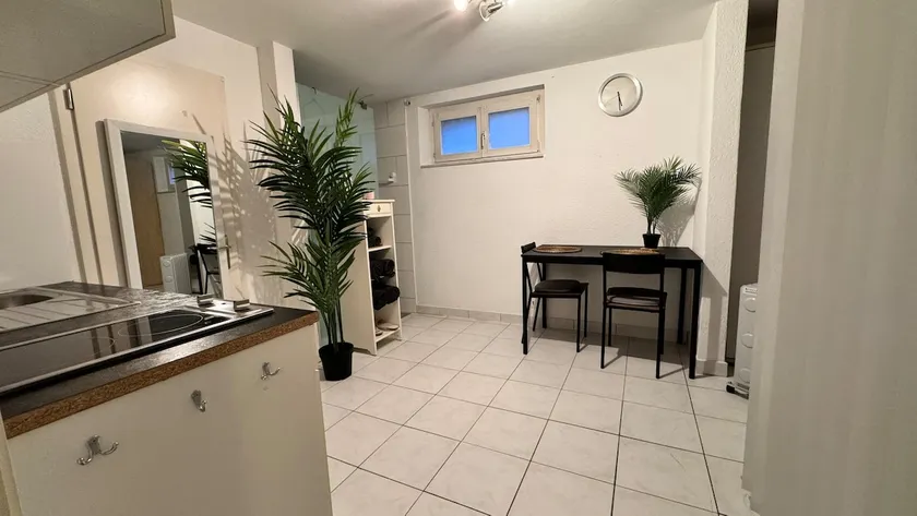 Cozy Apartment near Zurich - Image 1