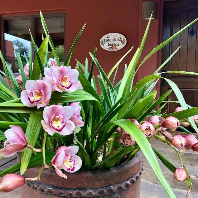 Peaceful Retreat in SLO Wine Country near beach - Image 1