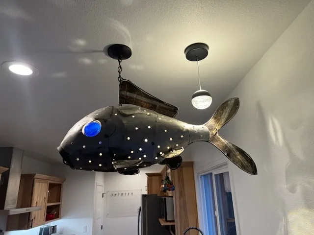 The Crazy Fish House - in Mount Shasta - Image 1