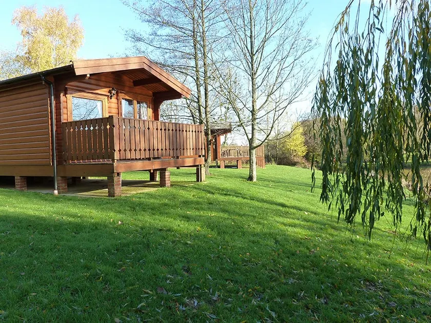 The Birches - Image 1
