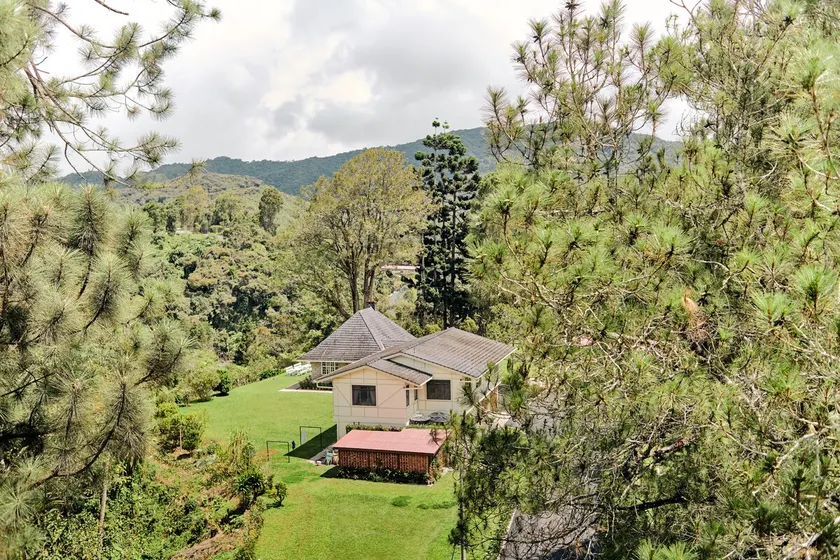 Rose Cottage by De'La Ferns - Image 1
