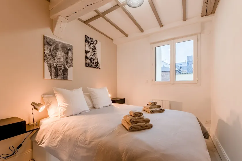 Suite Safari • Elegant 1-Bedroom • Central Rouen - Image 1