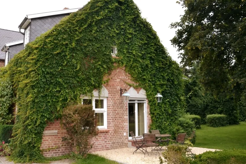 Feriengut Dalwitz – FeWo ”Terrassenblick” - Image 1