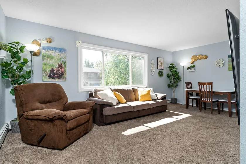 Pied Piper Pad in UMED (4) - Image 1