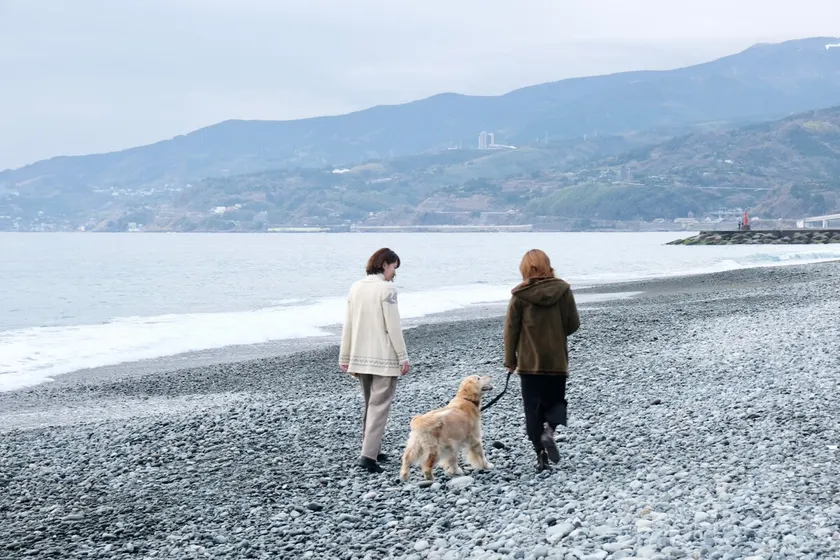 Inu to Umi-be, a private inn in a kominka house where you can stay with your dog (North Building) - Image 1