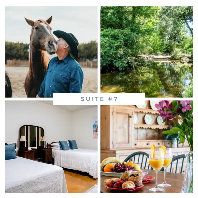 #7: 2bds Suite on 73 Acres - 10 min to Round Top! - Image 1