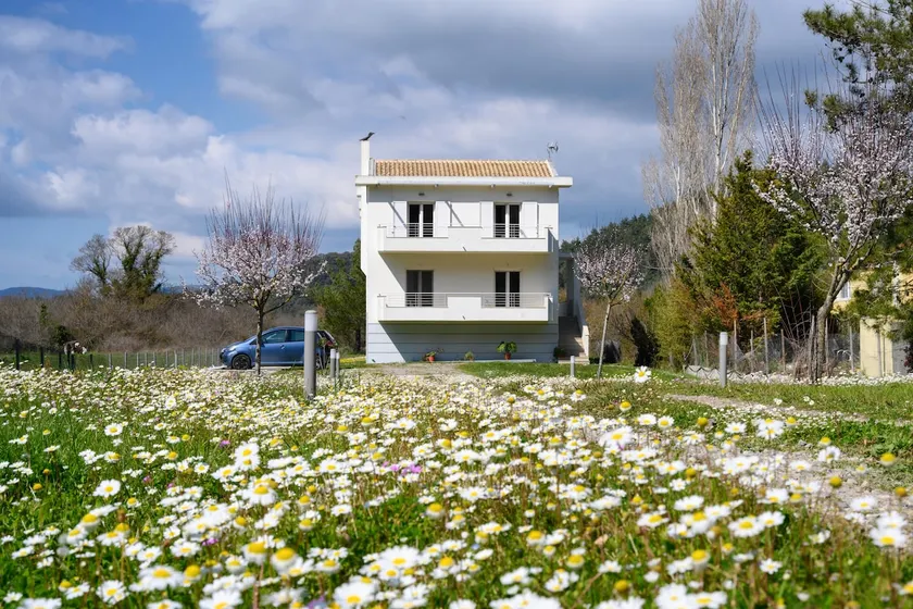 Aliki`s Luxury Suite with view, pet friendly! - Image 1