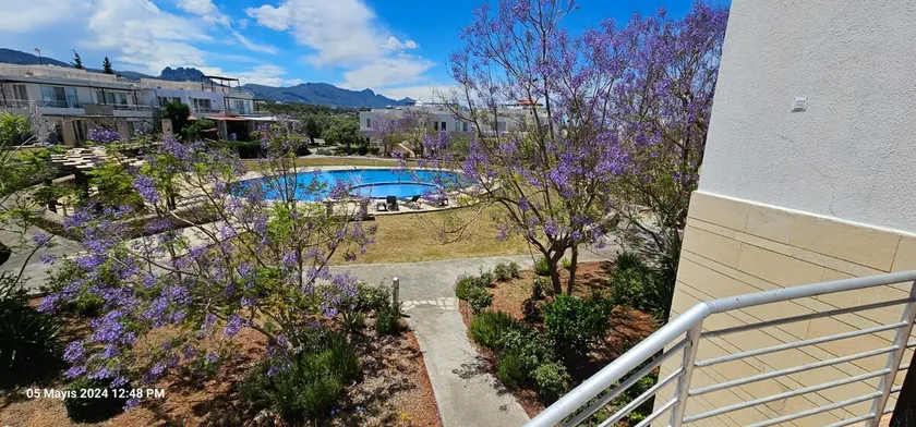 Flat+Rooftop, Turtle Bay Village - Image 1