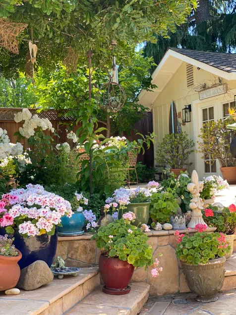 D’s Garden Cottage - Image 1