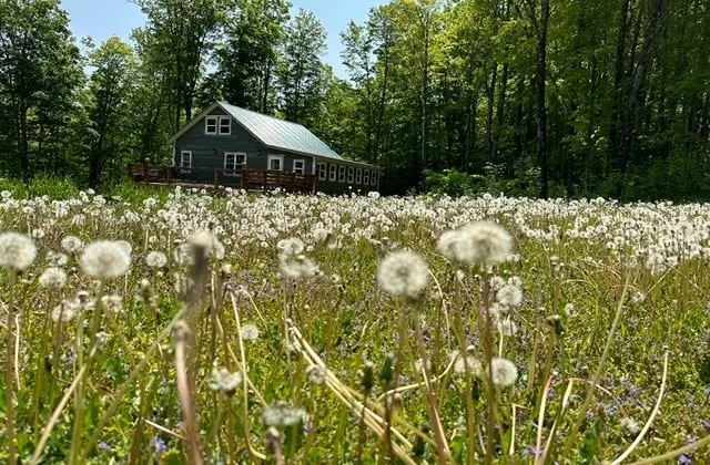 Quiet Adirondack Escape | Work Stays & Fly Fishing - Image 1