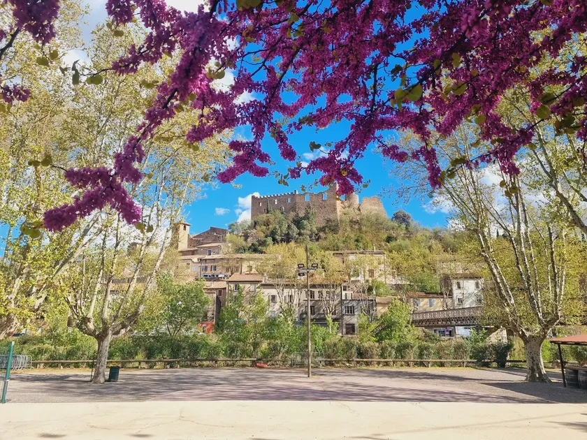 Great vacation home at Jo and Maria's - Image 1