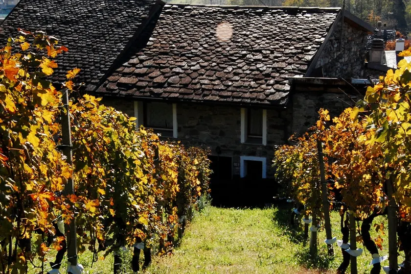Casa Seconda - on the Valtellina Wine Route - Image 1