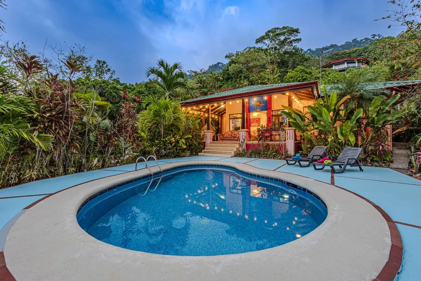 Jungle Oasis - Image 1