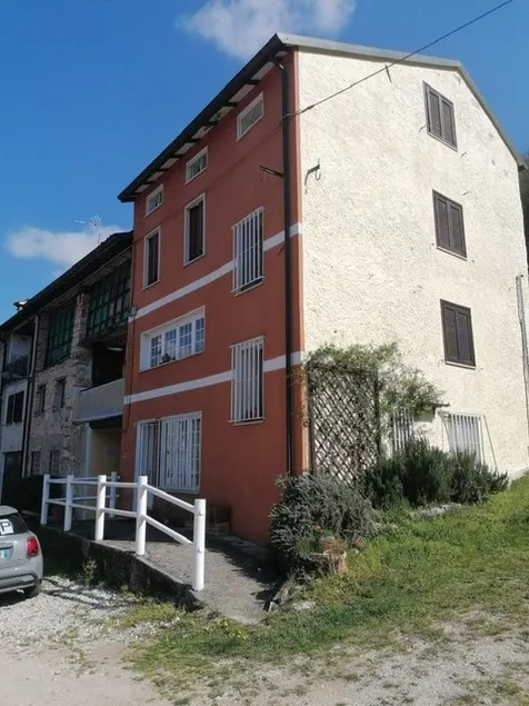 The house under the pine tree - Image 1