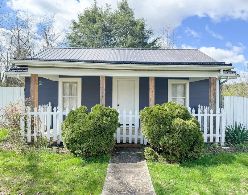 The Blue House - Image 1