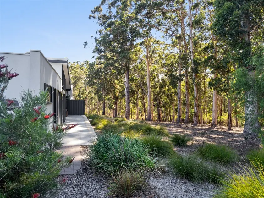 Karriscape - endless forest view - Image 1