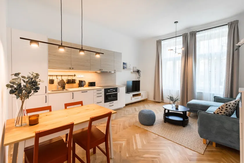 Urban one-bedroom apartment - Image 1