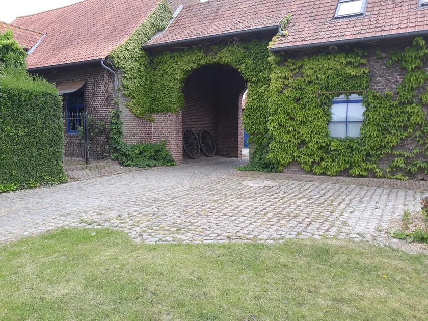 The willow - Image 1