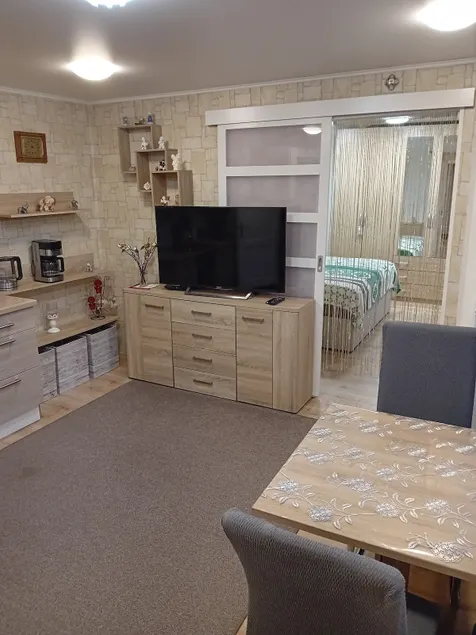 Vacation rental in a climatic health resort - Image 1