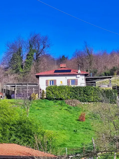 The House in the Woods - Image 1