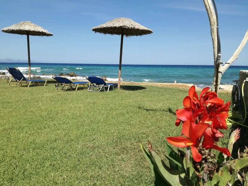 Studio Thalassa - Image 1